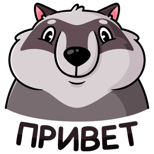 VK Sticker Pilfy the Raccoon #1
