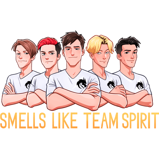 Стикер ВК Team Spirit #1