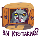 Bublik the Raccoon VK sticker #29